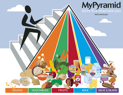 food pyramid and